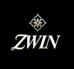 Translation missing: en.ZWIN accessibility.home